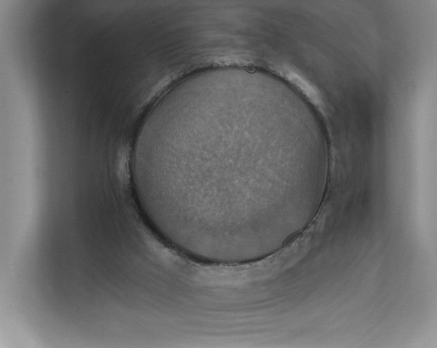 X0000112030009200908171500