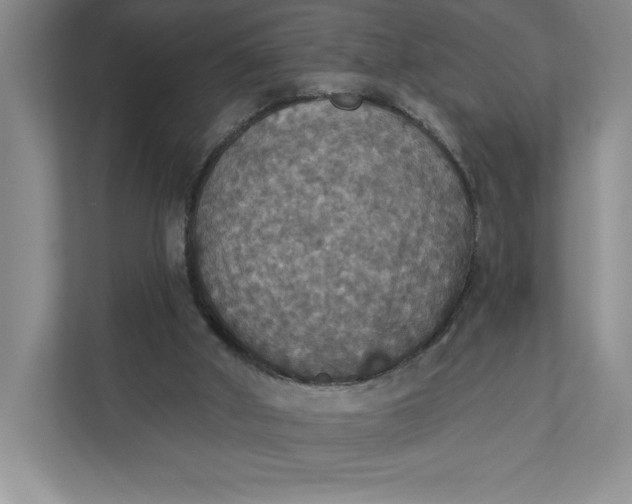 X0000112030010200908171500