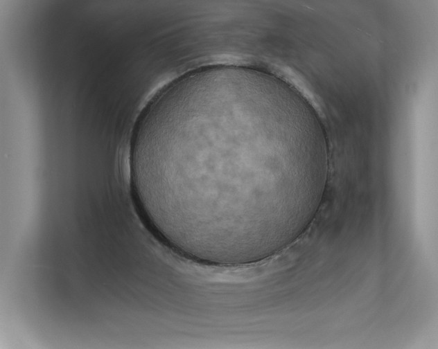 X0000112030011200908171500