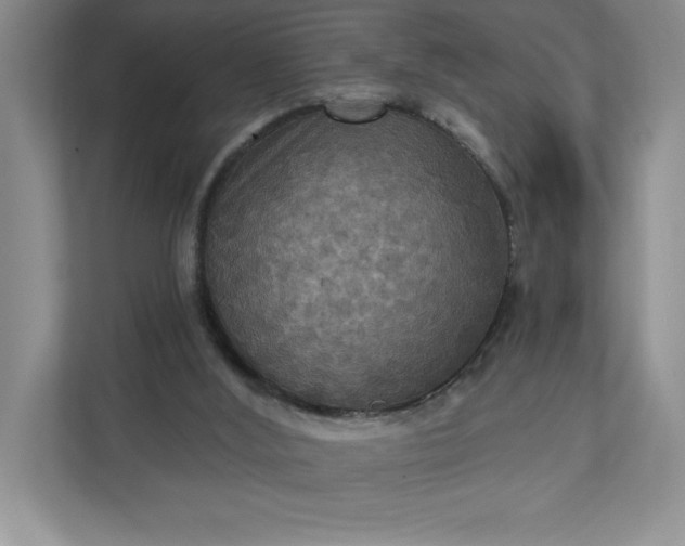 X0000112030012200908171500