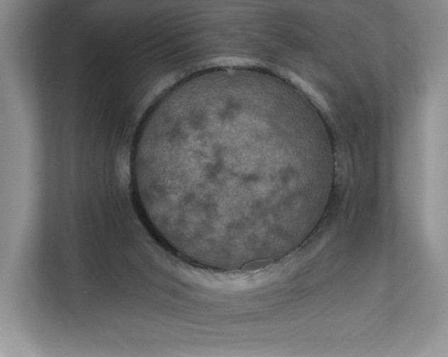 X0000112030015200908171500