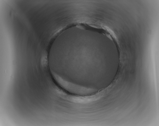 X0000112030017200908171500