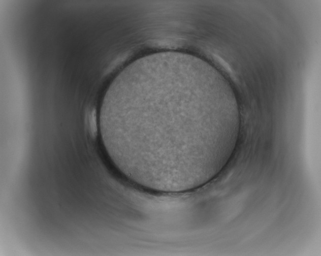 X0000112030020200908171500