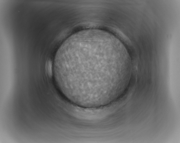 X0000112030022200908171500