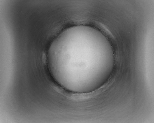 X0000112030025200908171500