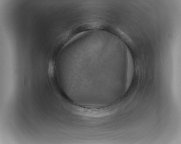 X0000112030026200908171500