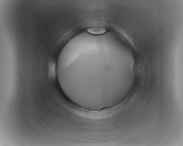 X0000112030027200908171500