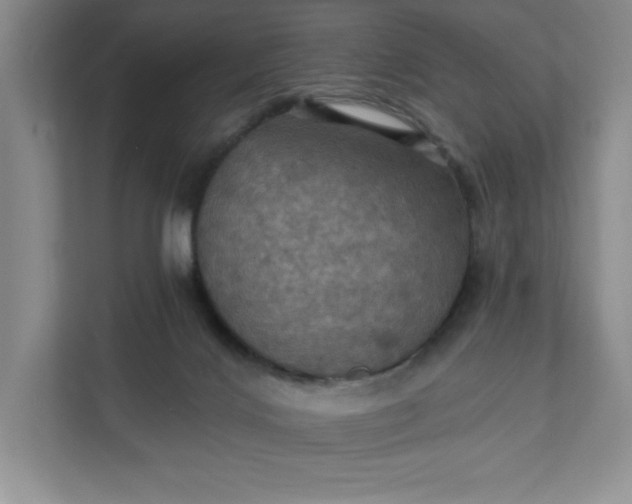 X0000112030028200908171500