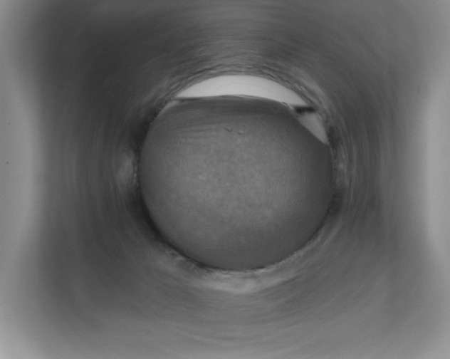 X0000112030029200908171500