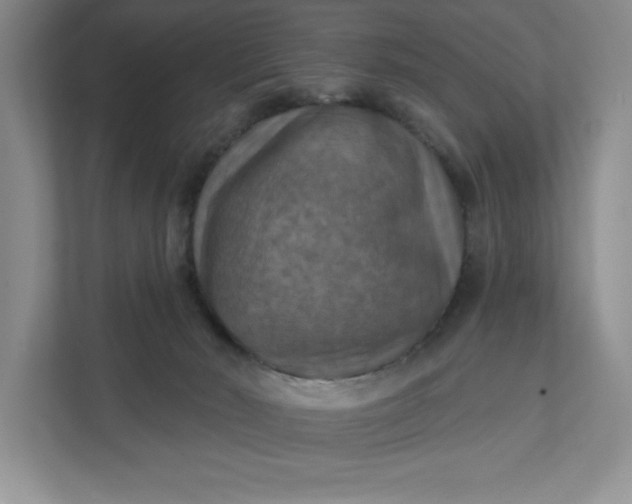 X0000112030030200908171500