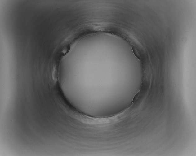 X0000112030031200908171500