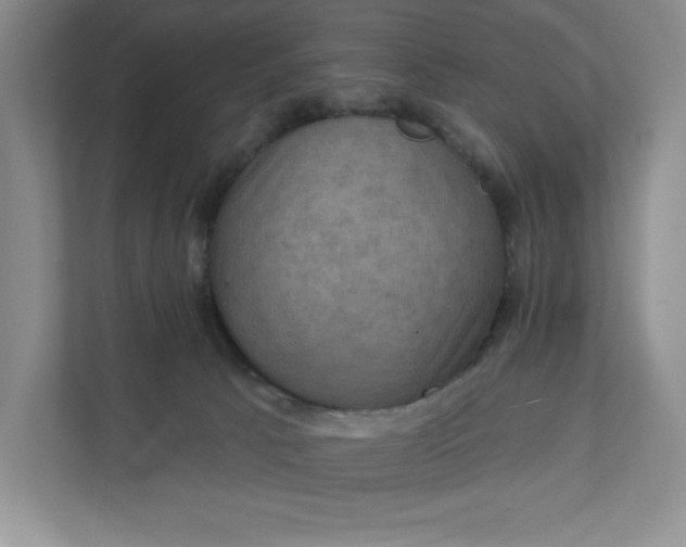 X0000112030033200908171500