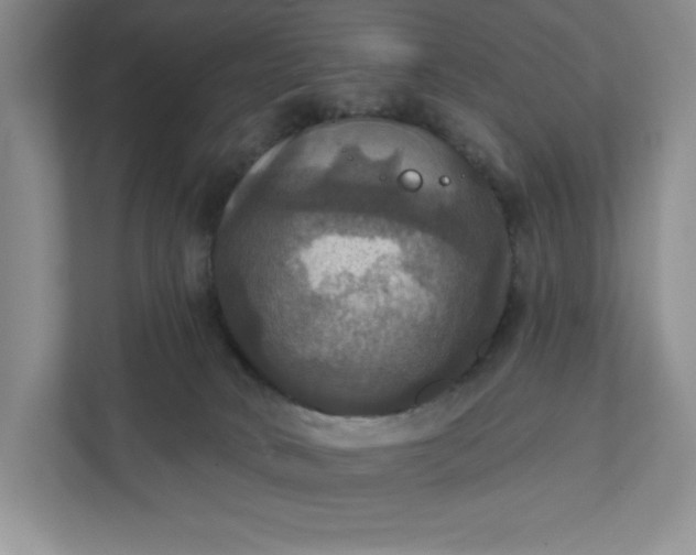 X0000112030034200908171500