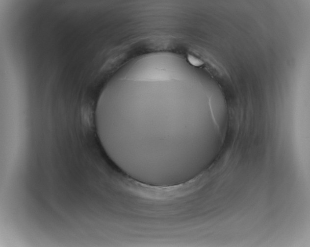 X0000112030035200908171500