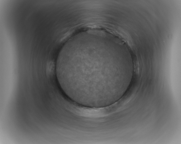 X0000112030036200908171500