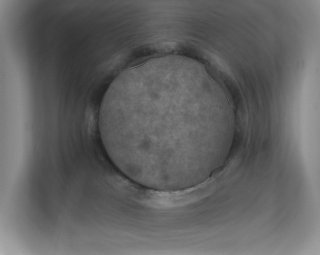 X0000112030037200908171500