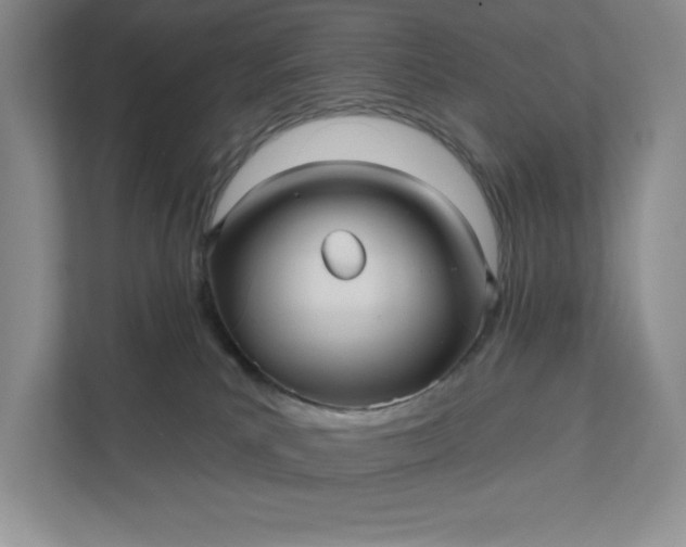 X0000112030039200908171500