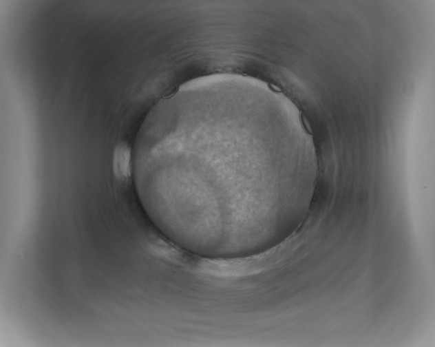 X0000112030041200908171500