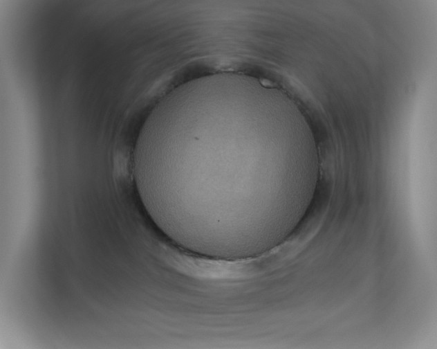 X0000112030044200908171459