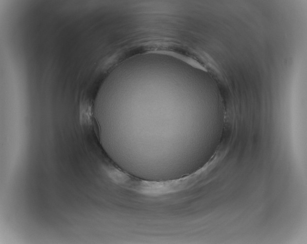 X0000112030045200908171459