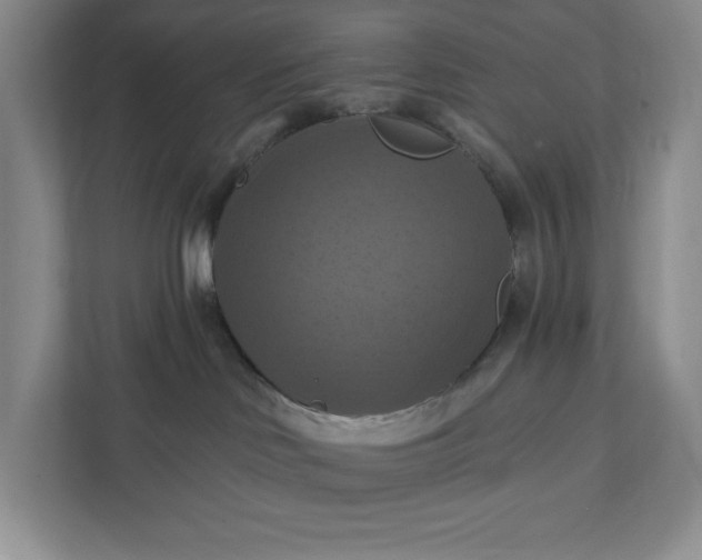 X0000112030046200908171459