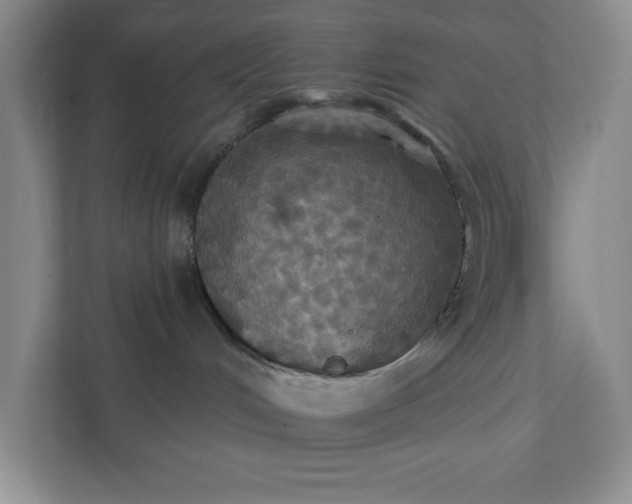 X0000112030048200908171459