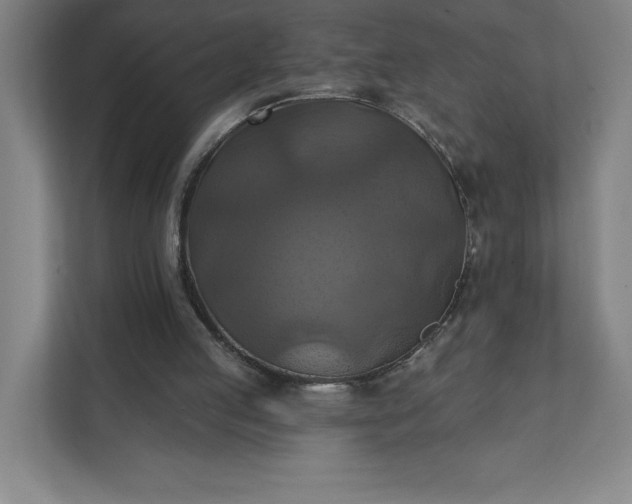 X0000112030053200908171459