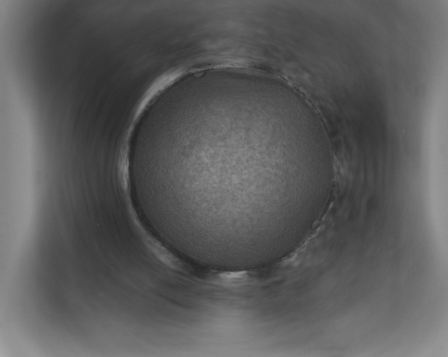 X0000112030054200908171459