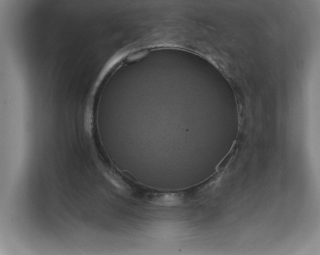 X0000112030056200908171459