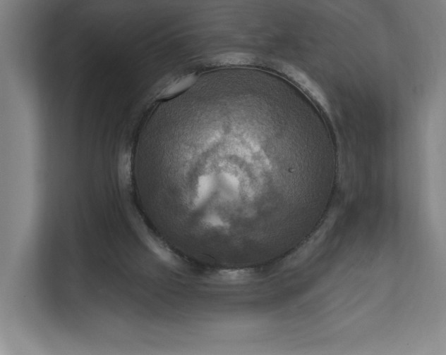 X0000112030057200908171459