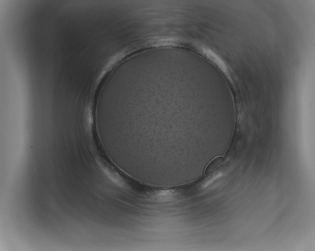 X0000112030059200908171459