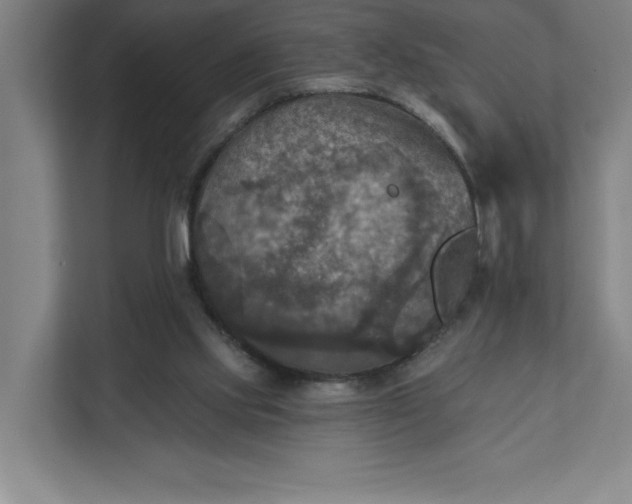 X0000112030061200908171459