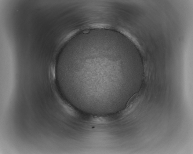 X0000112030062200908171459