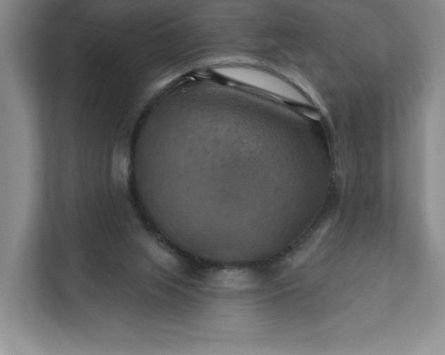 X0000112030063200908171459