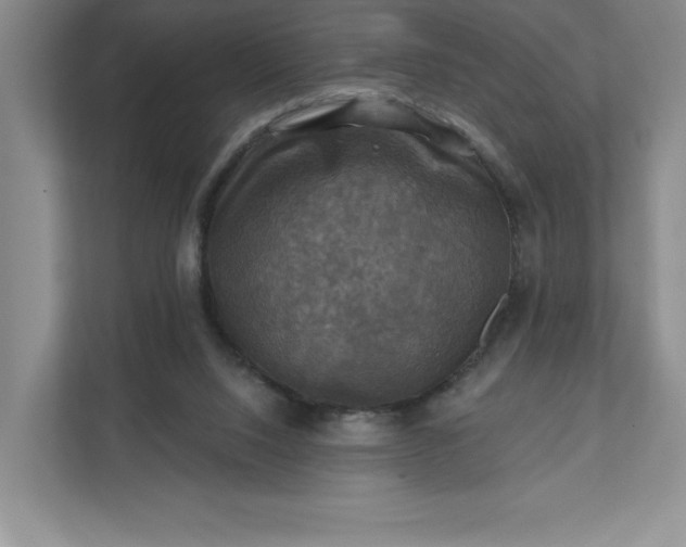 X0000112030064200908171459