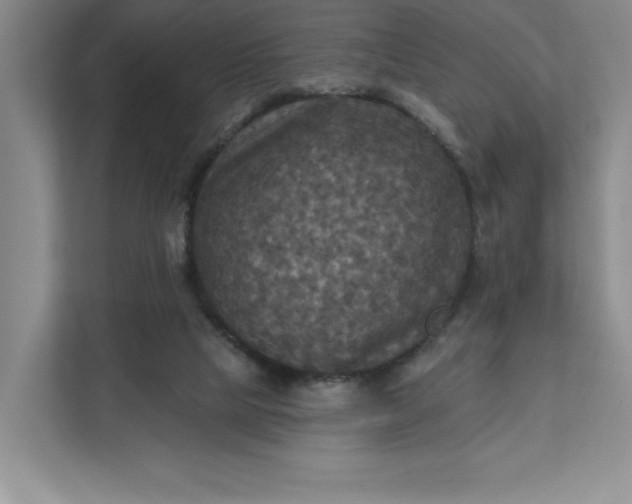 X0000112030065200908171459