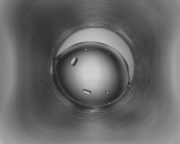 X0000112030068200908171459