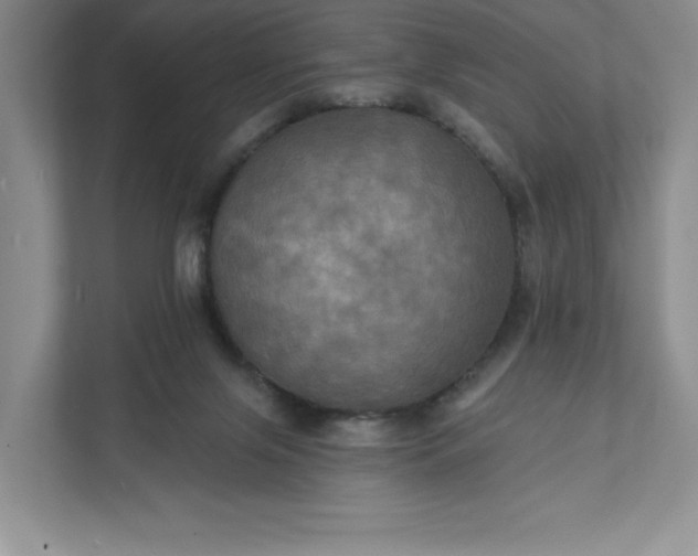 X0000112030071200908171459