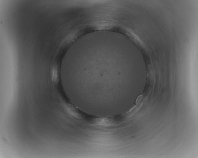 X0000112030074200908171459