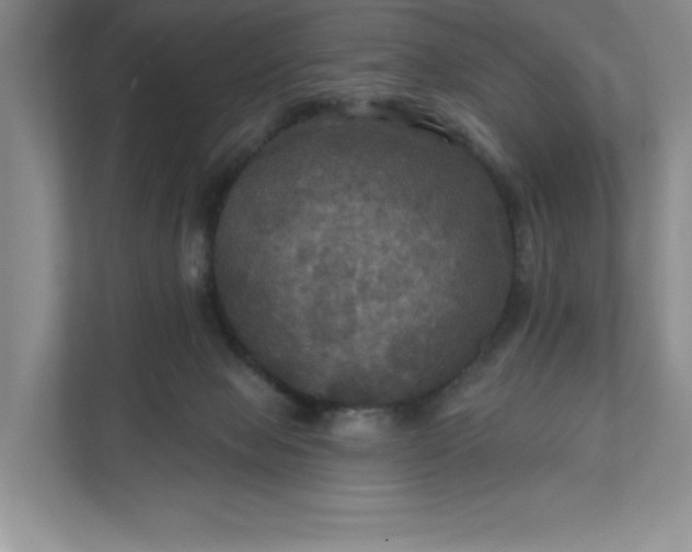 X0000112030077200908171459