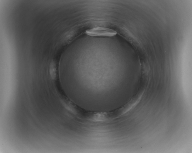 X0000112030080200908171459