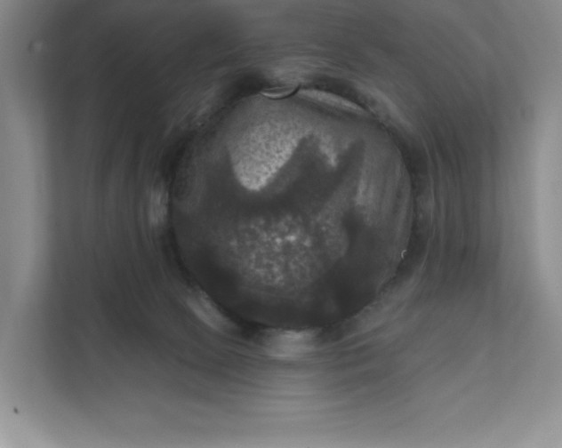 X0000112030081200908171459