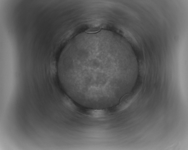 X0000112030085200908171459