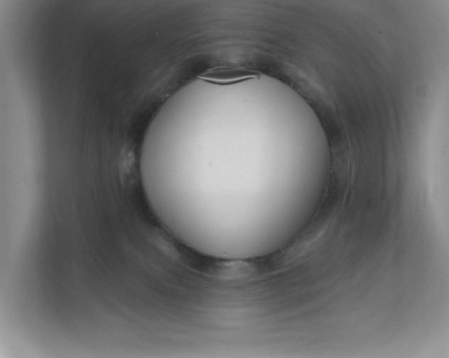 X0000112030087200908171459