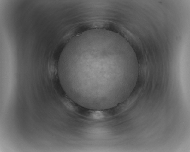 X0000112030091200908171459