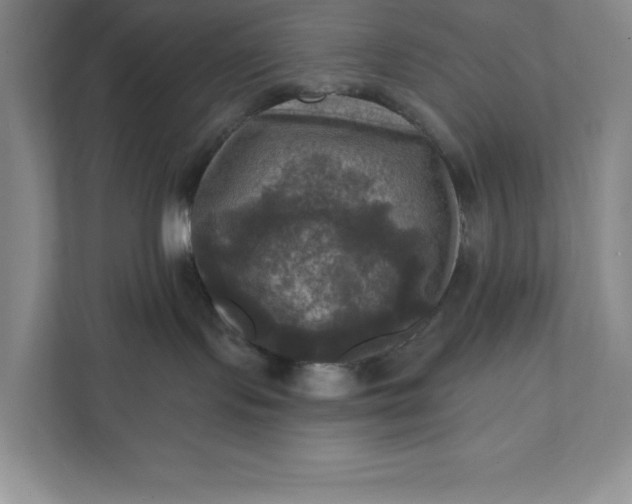 X0000112030095200908171459