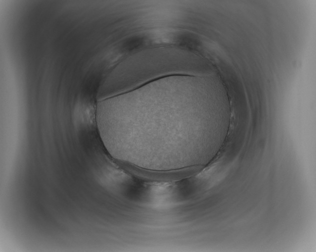 X0000112030096200908171459