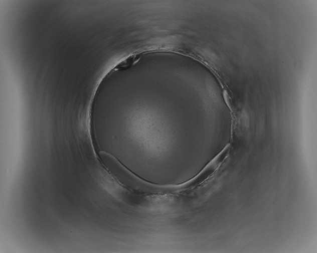 X0000112030100200908171459