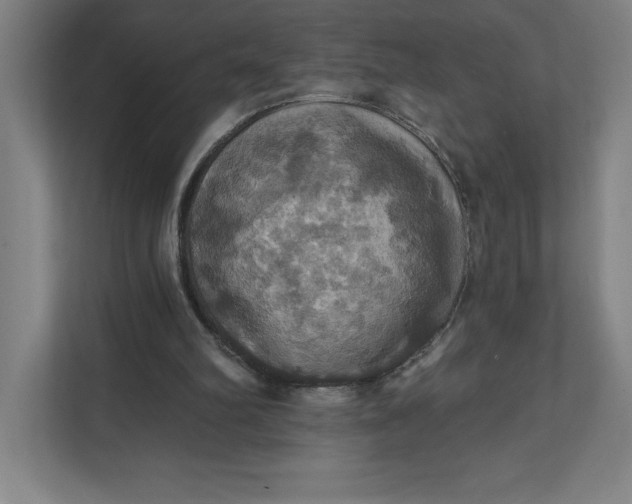 X0000112030102200908171459