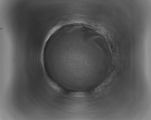 X0000112030104200908171459